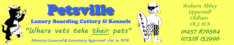 Petsville Cattery and Kennels - Luxury Private Hotel for Cats, Dogs and Small Pets